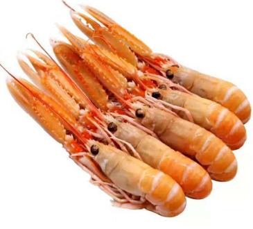 Langustine 5/10 congelate 2kg /cutie