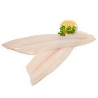 File butter fish